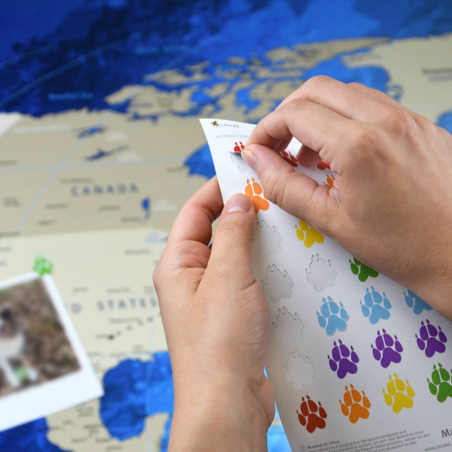 Sticker - Tierpfoten